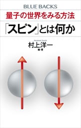 量子の世界をみる方法　「スピン」とは何か