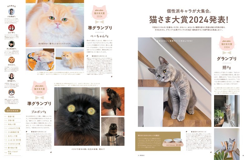ねこ様　中学１２３年セット OFT (サマーセール開催中7/18-7/31) [大型 猫トイレ TALL WALL