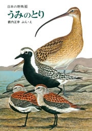 うみのとり