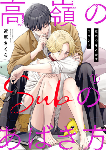 高嶺のSubのあばき方～君の心をとかすコマンド～