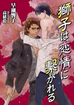 獅子は恋情に繋がれる