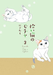 拾い猫のモチャ3