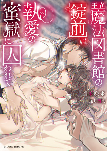 王立魔法図書館の[錠前]は執愛の蜜獄に囚われて【dエディション】