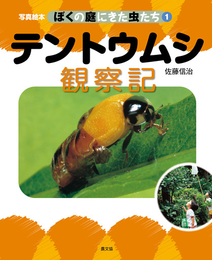 写真絵本　ぼくの庭にきた虫たち