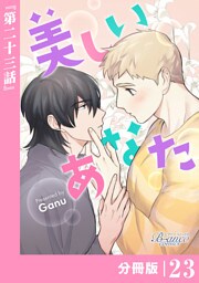 美しいあなた【分冊版】23（ビアンココミックス）