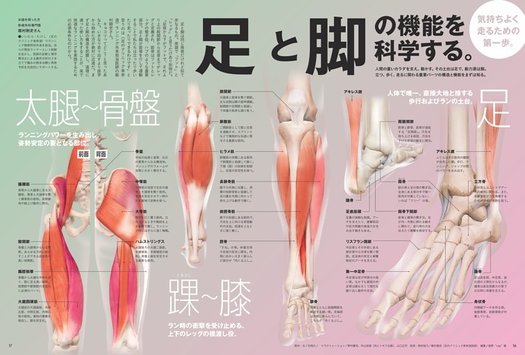 足と脚の機能を科学する。 (Tarzan) | dマガジン