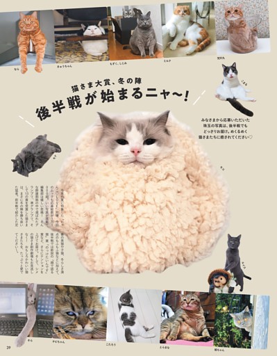 2 22猫の日 可愛いにゃんこ大集合 Dマガジンなら多彩なジャンルの人気記事がいつでもどこでも読み放題