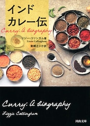インドカレー伝