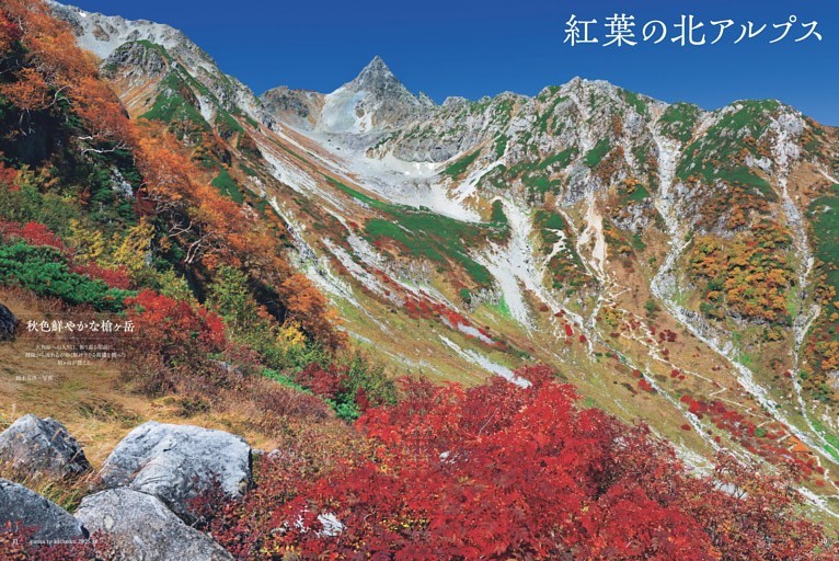 紅葉の北アルプス