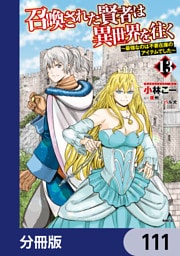 召喚された賢者は異世界を往く　～最強なのは不要在庫のアイテムでした～【分冊版】　111