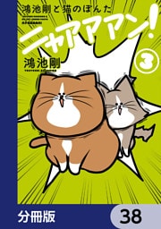 鴻池剛と猫のぽんた ニャアアアン！【分冊版】　38