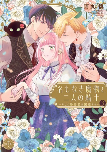 名もなき魔物と二人の騎士～そして婚約者は困惑する～【電子限定特典おまけページ付き】（３）