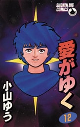 愛がゆく（１２）
