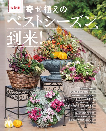 大特集 寄せ植えのベストシーズン、到来!
