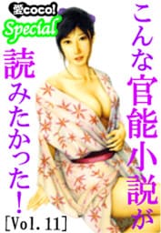 こんな官能小説が読みたかった！vol.11