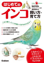 はじめてのインコ　飼い方・育て方