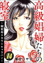 高級娼婦たちの寝室 ～闇聖母スカウトキャラバン～　（14）