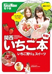 究極！ 関西いちご本