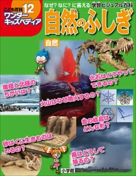 ワンダーキッズペディア12　自然 ～自然のふしぎ～