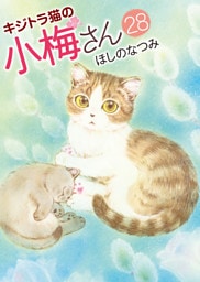 キジトラ猫の小梅さん（28）