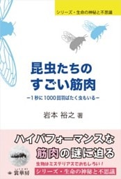 昆虫たちのすごい筋肉１秒に1000回羽ばたく虫もいる