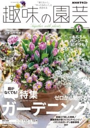 NHK 趣味の園芸 2026年11月号