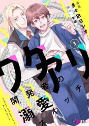 ワケアリ開発者の溺愛スイッチ 3