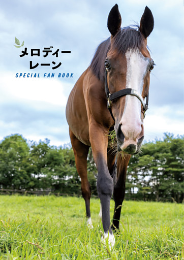 メロディーレーン SPECIAL FAN BOOK