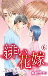 緋い花嫁～契約婚と彼と拗れた一族～ 6