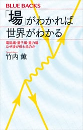「場」がわかれば世界がわかる　電磁場・量子場・重力場　なぜ波が伝わるのか