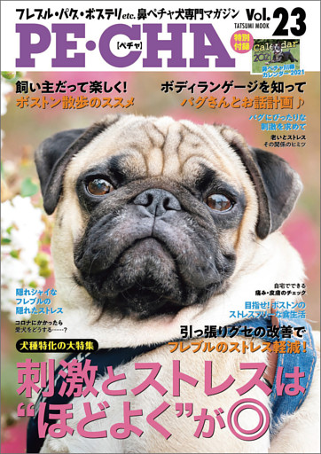PE・CHA