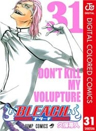 BLEACH カラー版 31