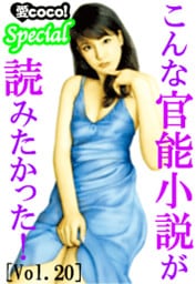 こんな官能小説が読みたかった！vol.20