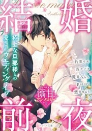 ベリーズ文庫 溺甘アンソロジー１　結婚前夜