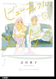 ビューティフル・エブリデイ　分冊版（９）