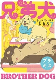 兄弟犬　プチキス（７）