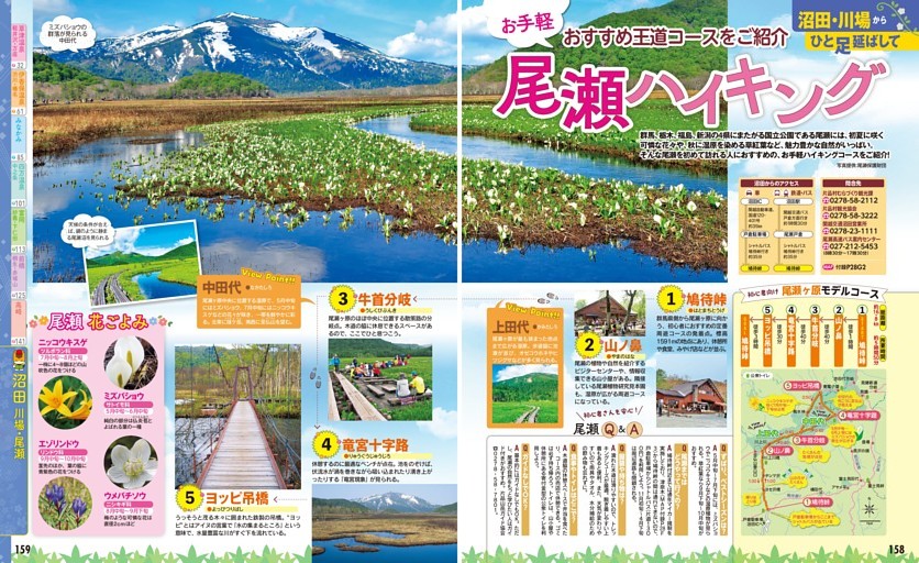 沼田・川場・尾瀬／沼田・川場からひと足延ばして／尾瀬ハイキング