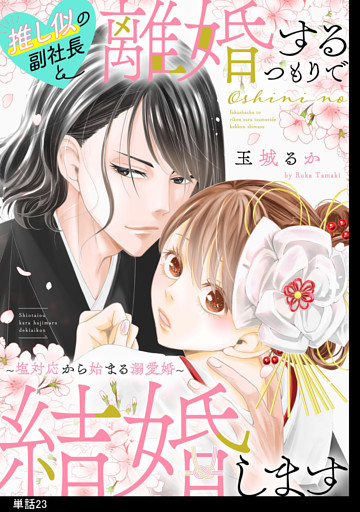 推し似の副社長と離婚するつもりで結婚します〜塩対応から始まる溺愛婚〜【単話】（23）