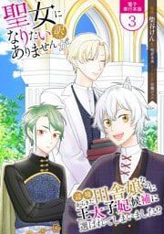 聖女になりたい訳ではありませんが　辺境からきた田舎娘なのに王太子妃候補に選ばれてしまいました！？【電子単行本版】 3