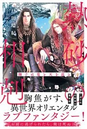 熱砂の相剋 ～獅子は竜と天を巡る～