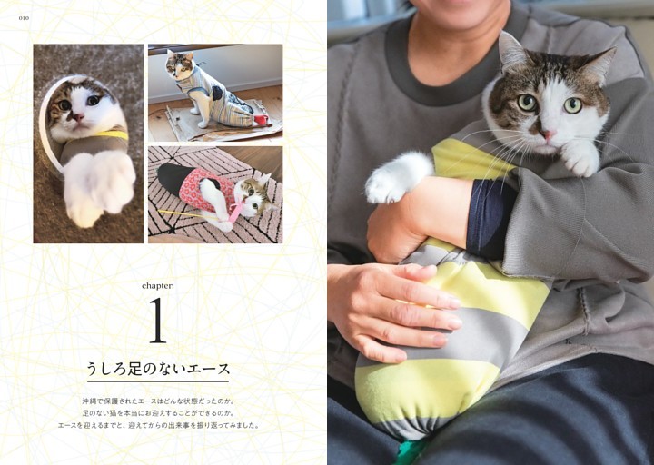 【未使用】山口智子　ソメスサドル 「山笑う」コラボ バッグ 本革 sddefault.jpg