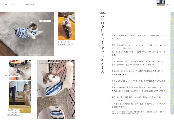 日々筋トレ！ マッスルエース