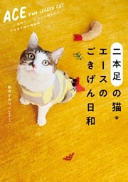 二本足の猫・エースのごきげん日和