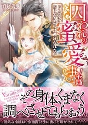 囚われの蜜愛事情～ドS将校のお仕置きからは逃げられない～