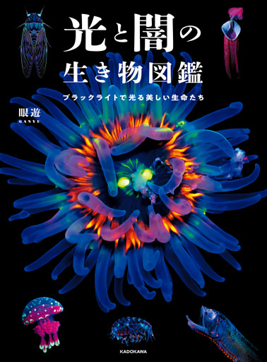 光と闇の生き物図鑑　ブラックライトで光る美しい生命たち