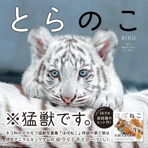とらのこ