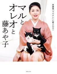 マルとオレオと藤あや子 保護猫「マルオレ」に癒される！！