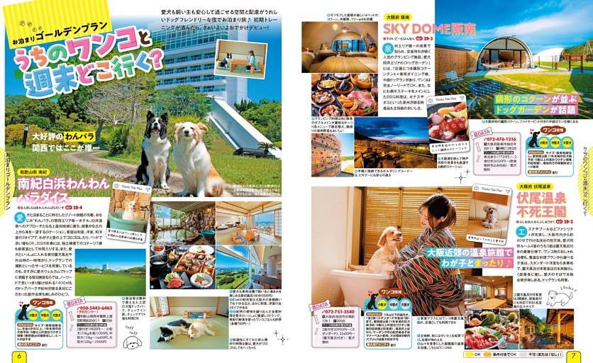 お泊り ゴールデンプラン うちのワンコと週末どこ行く？