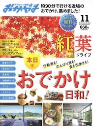 ビザビリレーションズ