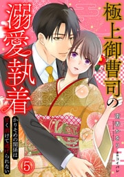 極上御曹司の溺愛執着～かりそめの関係は甘く溶けて逃げられない～(5)